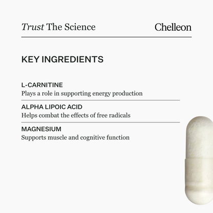 Advanced Nutrition Programme Pro Energy